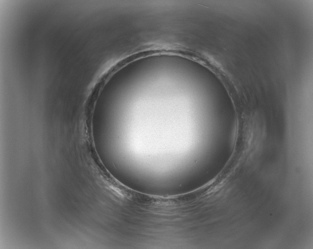 X0000065961215200603061142