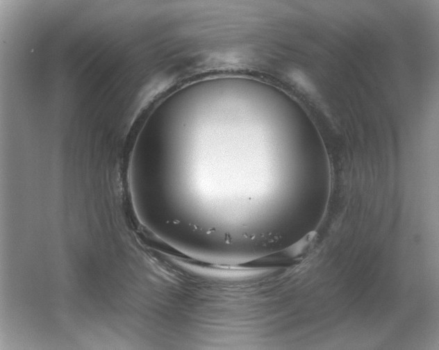 X0000065961218200603061142