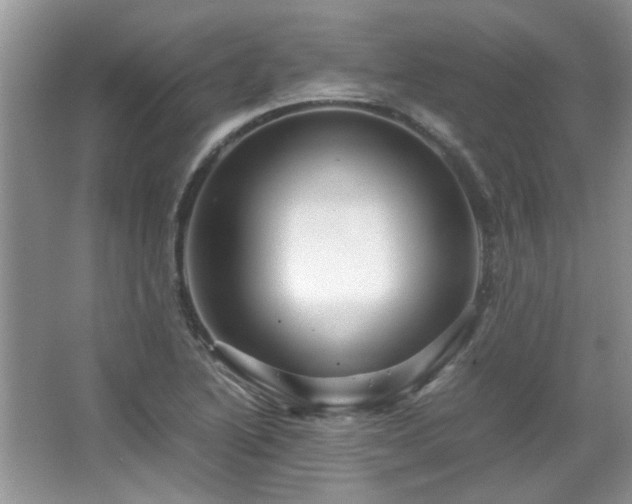 X0000065961222200603061142