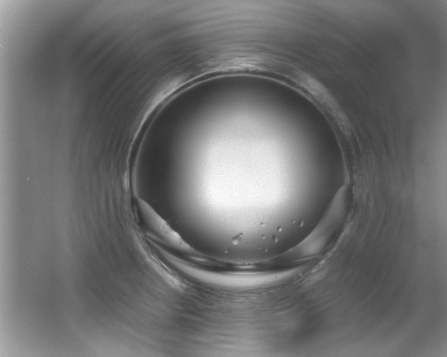 X0000065961234200603061142