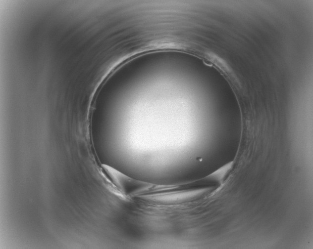 X0000065961236200603061142