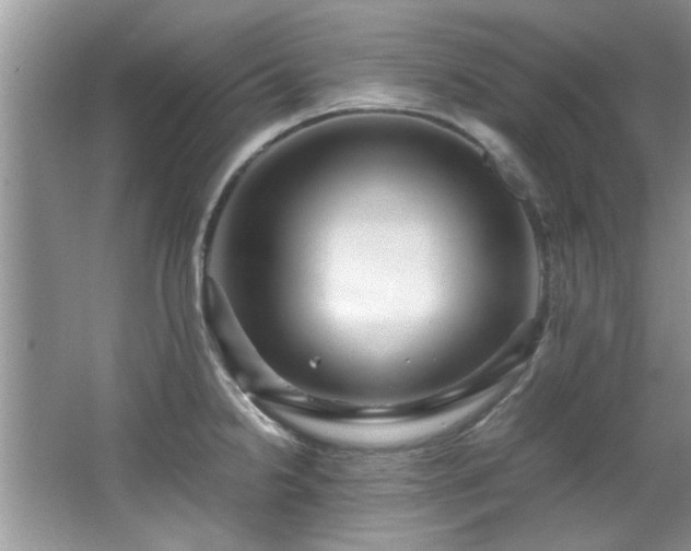 X0000065961238200603061142