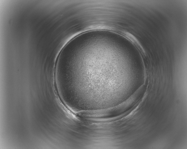 X0000065961244200603061142