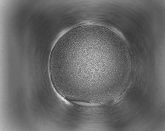 X0000065961247200603061142