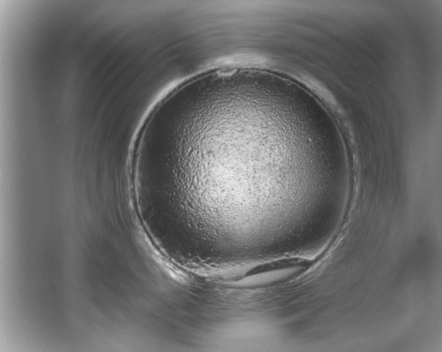 X0000065961248200603061142