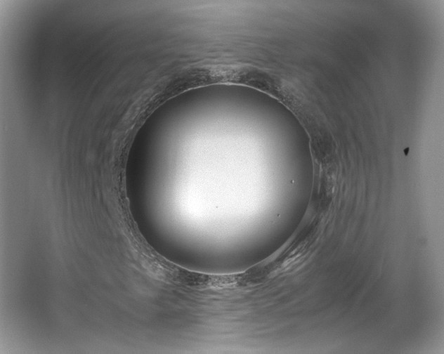 X0000065961249200603061141