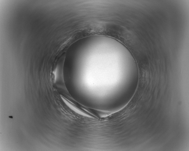 X0000065961250200603061141