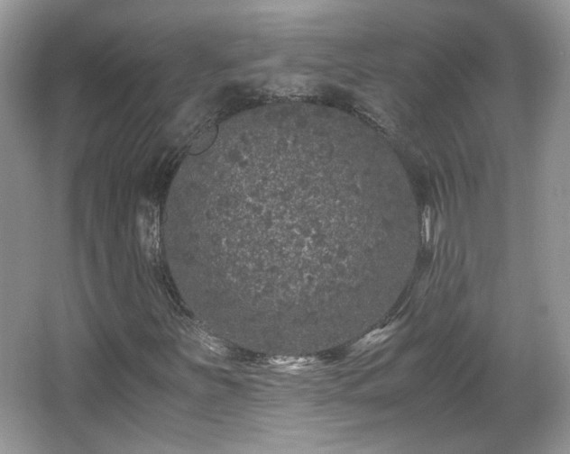 X0000065961251200603061141