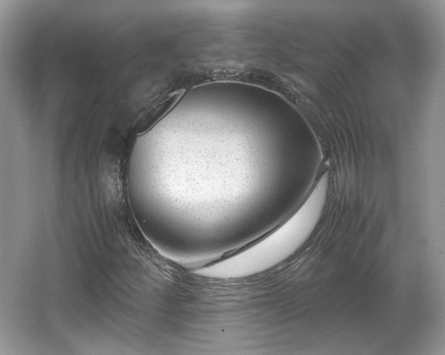 X0000065961252200603061141