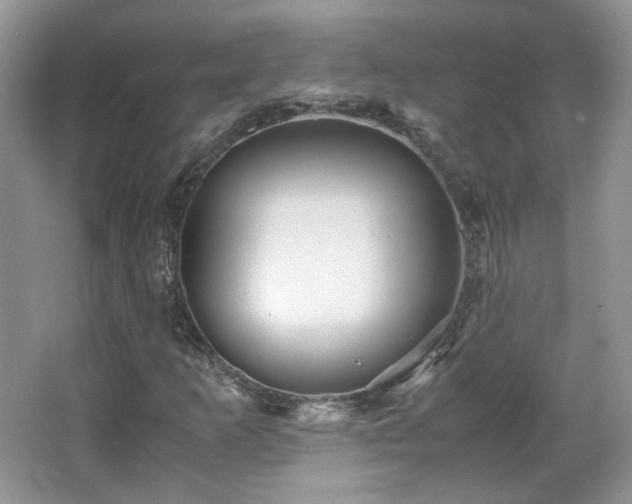 X0000065961253200603061141