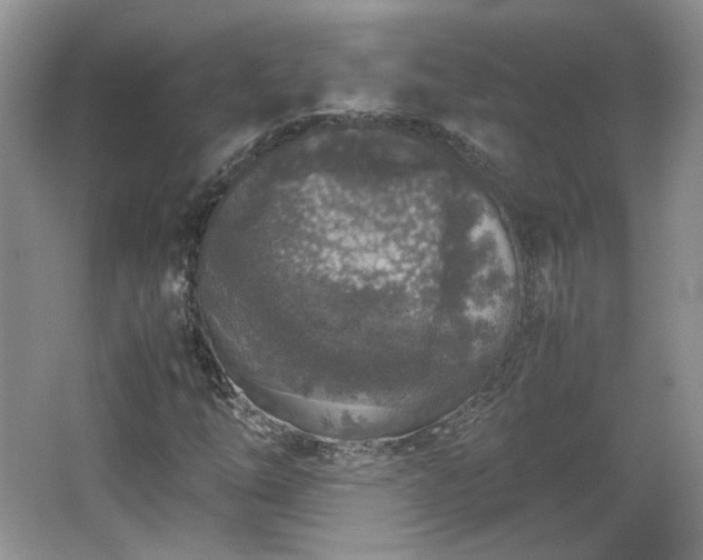 X0000065961254200603061141