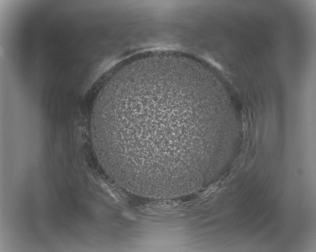 X0000065961255200603061141