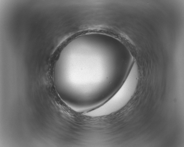 X0000065961256200603061141