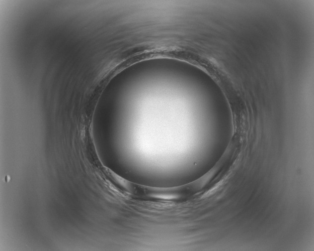 X0000065961257200603061141