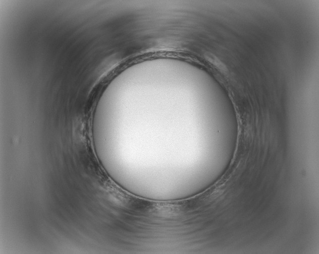 X0000065961258200603061141