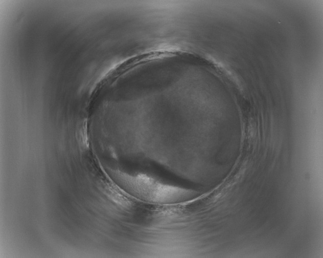 X0000065961262200603061141