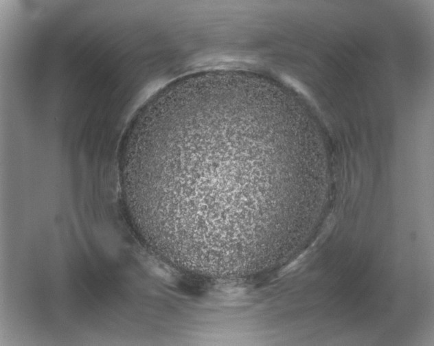 X0000065961267200603061141
