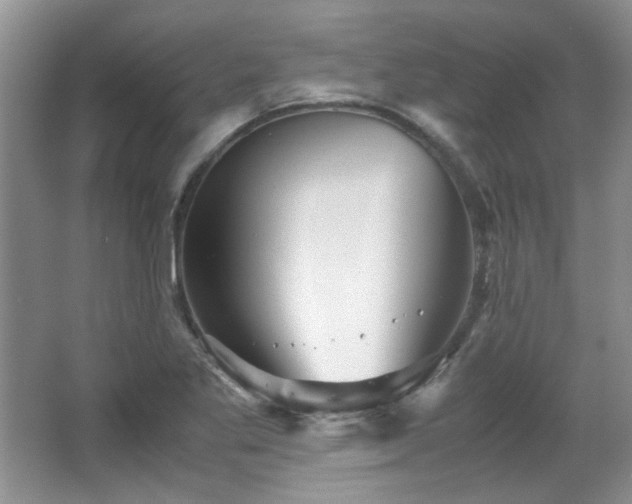 X0000065961269200603061141