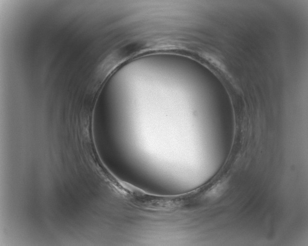 X0000065961273200603061141
