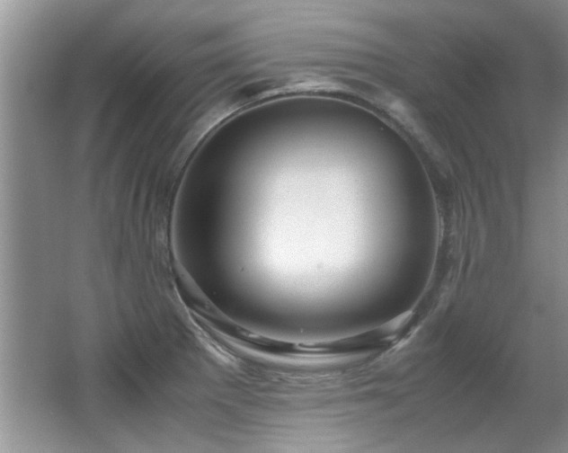 X0000065961281200603061141