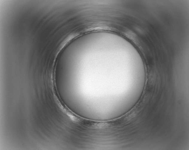 X0000065961282200603061141