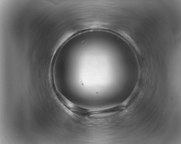 X0000065961285200603061141