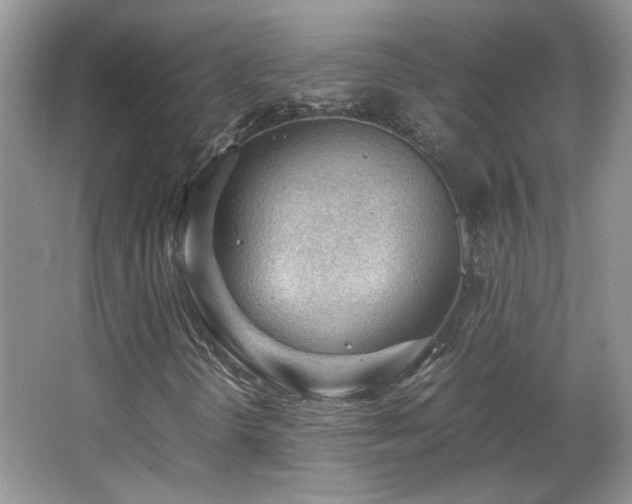 X0000065961298200603061140