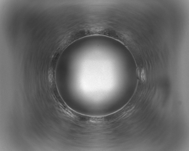 X0000065961299200603061140