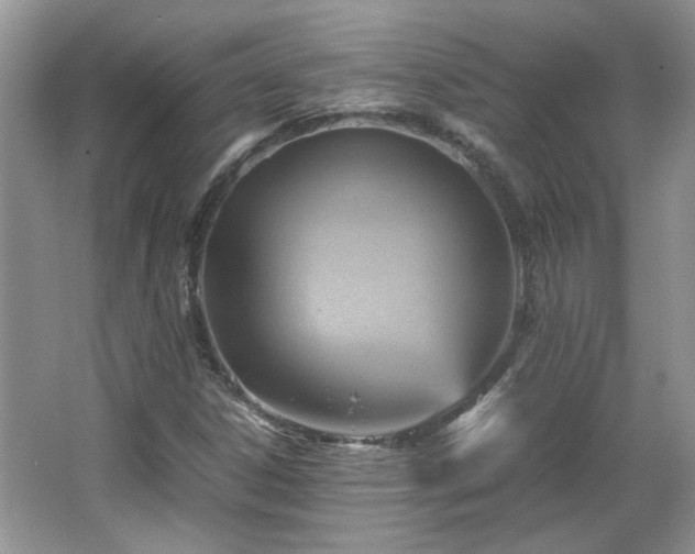 X0000065961306200603061140