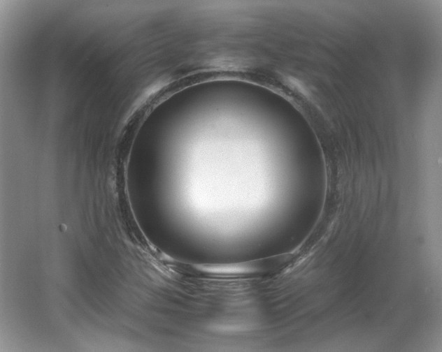 X0000065961307200603061140