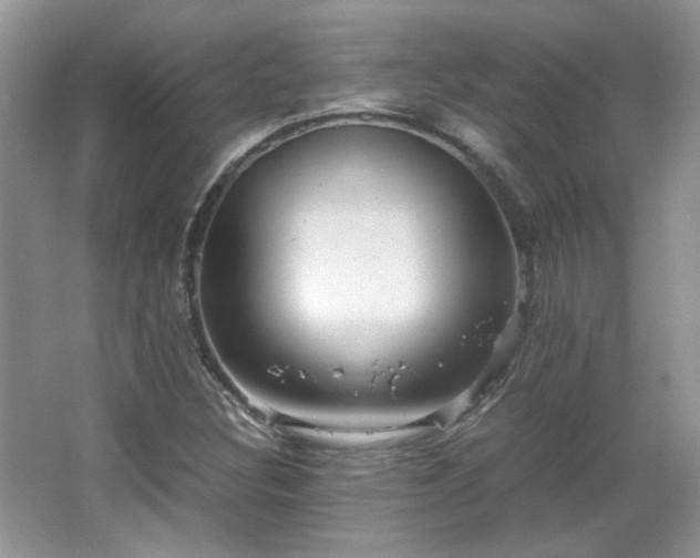 X0000065961308200603061140