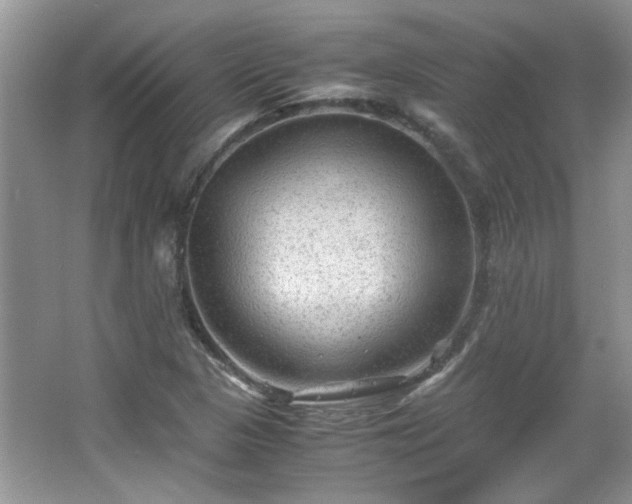 X0000065961313200603061140