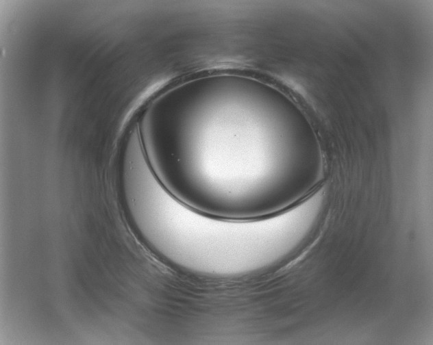 X0000065961317200603061140
