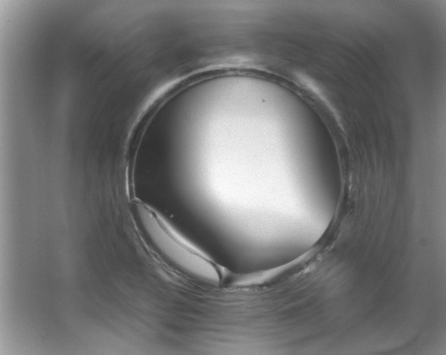 X0000065961320200603061140