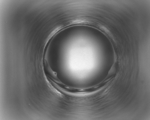 X0000065961330200603061140