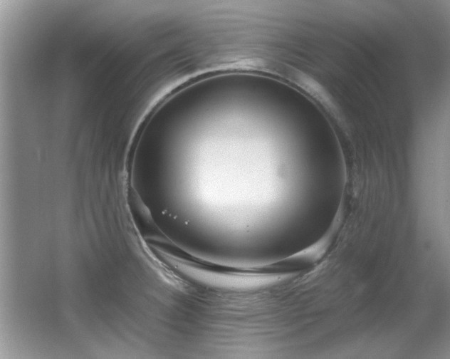 X0000065961332200603061140