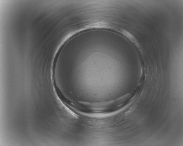 X0000065961334200603061140