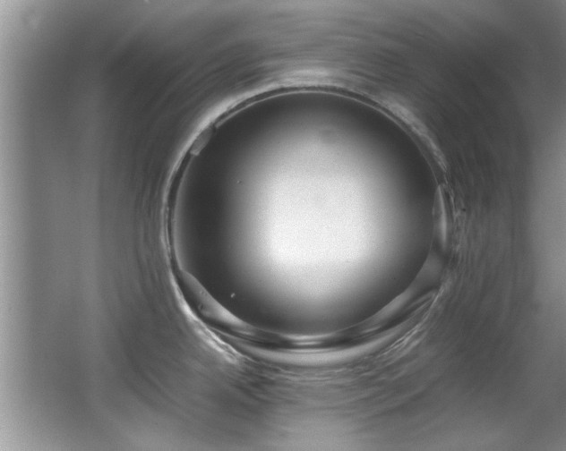 X0000065961342200603061140