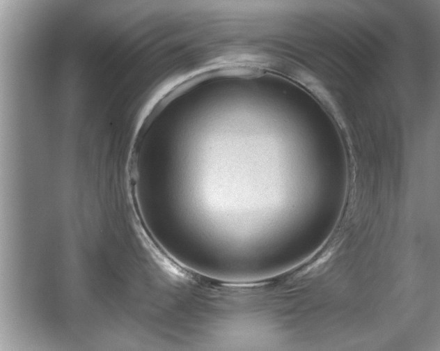X0000065961344200603061140