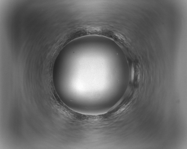 X0000065961345200603061140