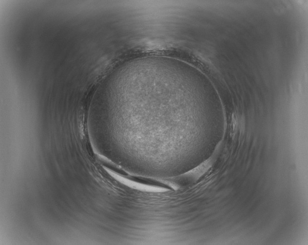X0000065961348200603061140