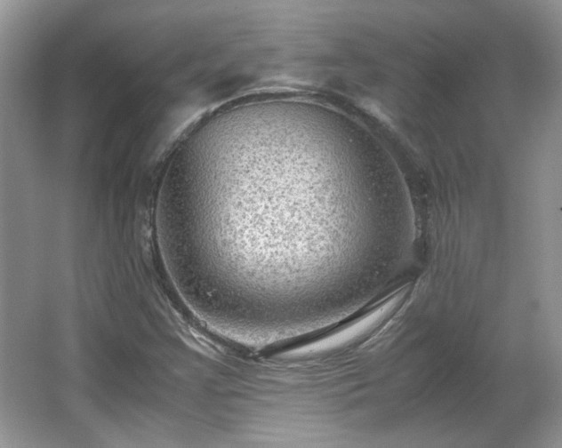 X0000065961355200603061139