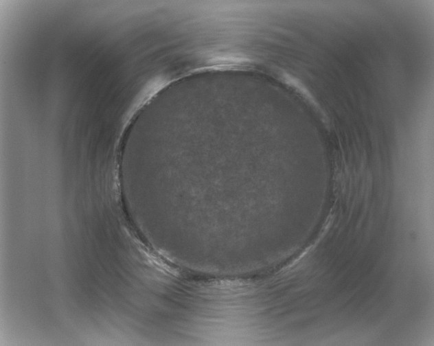 X0000065961362200603061139
