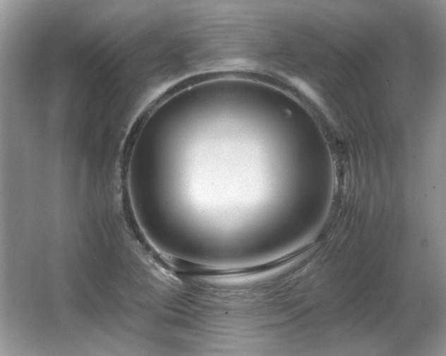 X0000065961364200603061139