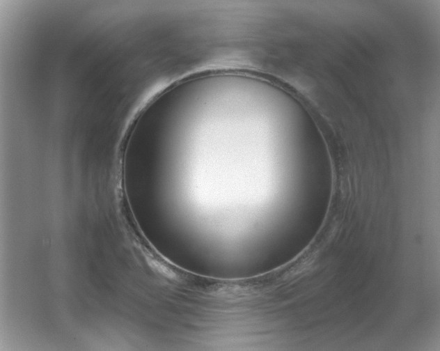 X0000065961366200603061139
