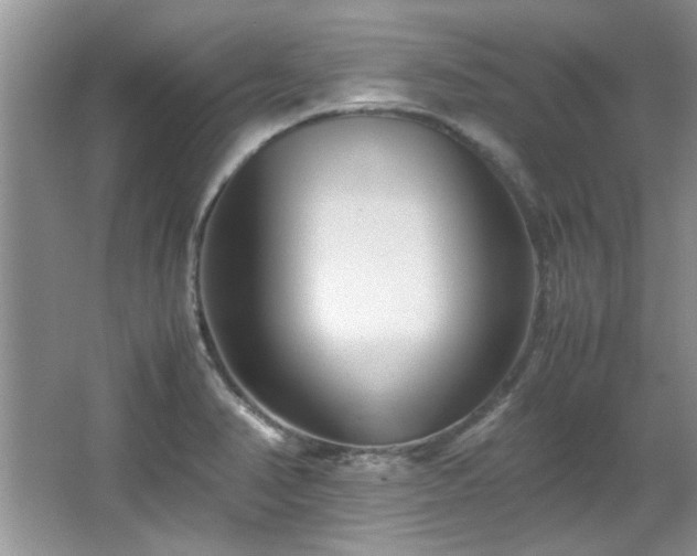 X0000065961374200603061139