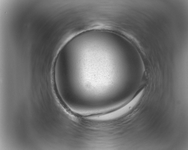 X0000065961375200603061139