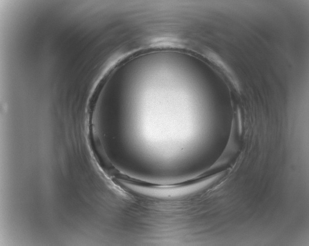 X0000065961376200603061139