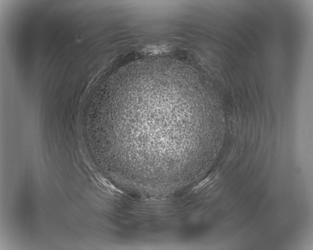 X0000065961393200603061138