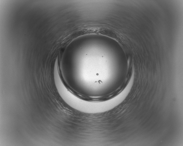 X0000065961394200603061138